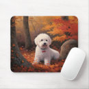 Recherche de frise bichon tapis souris Chien
