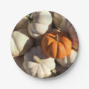 Recherche de thanksgiving assiettes Récolte