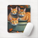 Recherche de chat gingembre tapis souris Animaux domestiques