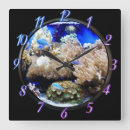 Recherche de poissons tropicaux horloges Eau