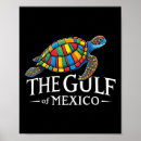 Recherche de tortue autres Chemise politique