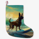 Recherche de malinois chaussette de noël Pour tous