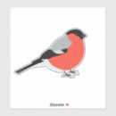 Recherche de bullfinch autocollants Oiseau