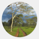 Recherche de gallo autocollants Image couleur