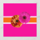 Recherche de gerber rose invitations Gerbera