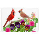 Recherche de cardinal du nord magnets Faune