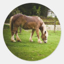Recherche de chevaux trait autocollants Projet