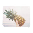 Recherche de ananas magnets Été