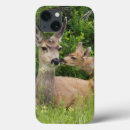 Recherche de faon coques Cerf