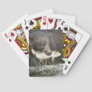Recherche de comportement jeux de cartes Gros plan