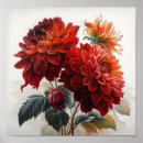 Recherche de fleur de dahlia posters Décoration fleurie