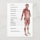 Recherche de système musculaire cartes postales Corps