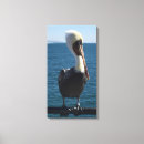 Recherche de oiseaux de mer toiles Nautique