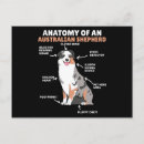 Recherche de le berger australien cartes postales Chiot