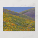 Recherche de paysage fleuri cartes postales Coloré