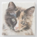 Recherche de pelucheux photographie Animaux de bébé