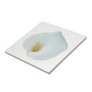 Recherche de fleur de lys carreaux Pour elle