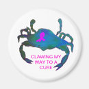 Recherche de crabes magnets Pour tous