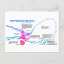 Recherche de le facteur cartes postales Facteurs