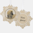 Recherche de afghan Hound afghan