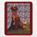 Recherche de irish tapis souris Dog