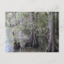 Recherche de cypress tree cartes postales Arbre