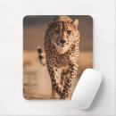 Recherche de majestueux tapis souris Safari
