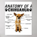 Recherche de anatomie chien posters Amoureux des chiens