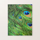 Recherche de paon bleu puzzles Nature