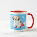 Recherche de chien havanese tasses Havanais