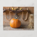 Recherche de meunier cartes postales Coloré