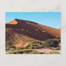 Recherche de kalahari cartes postales Namibie