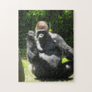 Recherche de gorilla puzzles Animal