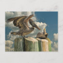 Recherche de pélicans cartes postales Nature