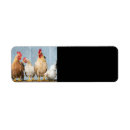 Recherche de poule et poussins cartes invitations poulets