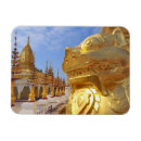 Recherche de birmanie magnets Steve roxbury