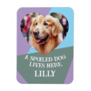 Recherche de coeur magnets Pour eux