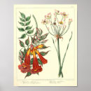 Recherche de botanical flowers posters Floral