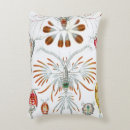 Recherche de animaux aquatiques coussins Vie marine