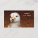 Recherche de poules et poussins cartes visite Agriculteur
