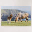 Recherche de jument puzzles Ranch