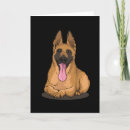 Recherche de malinois vœux cartes Dog