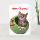 Recherche de tigre blanc vœux cartes Vacances