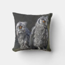 Recherche de jeune hibou Bébé