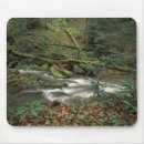 Recherche de fourche tapis souris Ruisseau