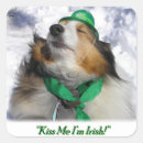 Recherche de shamrock autocollants Irlande