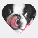 Recherche de boston autocollants Chien