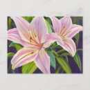 Recherche de mensonges cartes postales Botanique