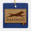 Recherche de malinois belges ornements Berger belge