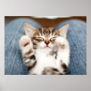 Recherche de jambe humaine posters Partie du corps humain